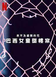 来不及盛开的花:巴西女童坠楼案